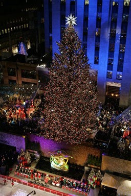 O Christmas Tree Cbs News