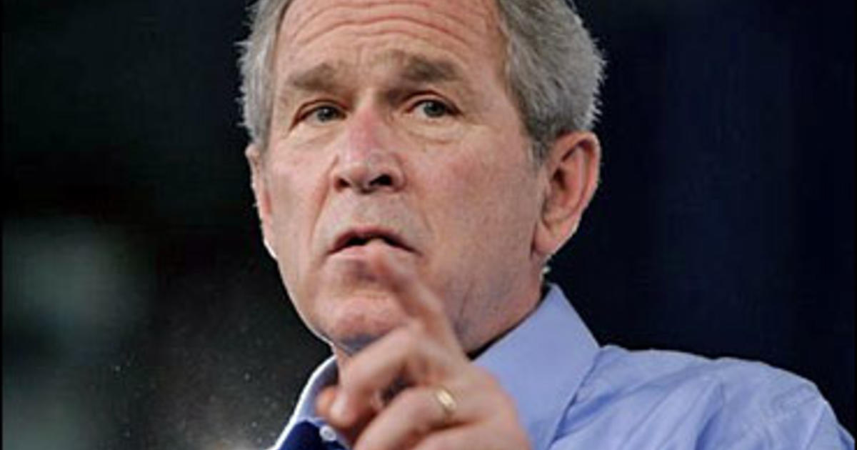 Bush on gay marriage