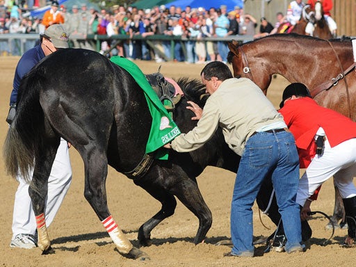 2008 Kentucky Derby CBS News