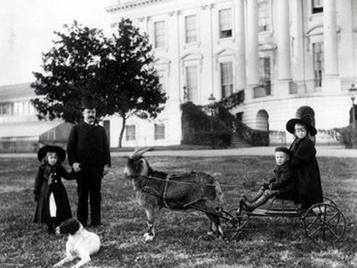 Presidential Pets Pictures Cbs News Presidential Pets Pictures Cbs News