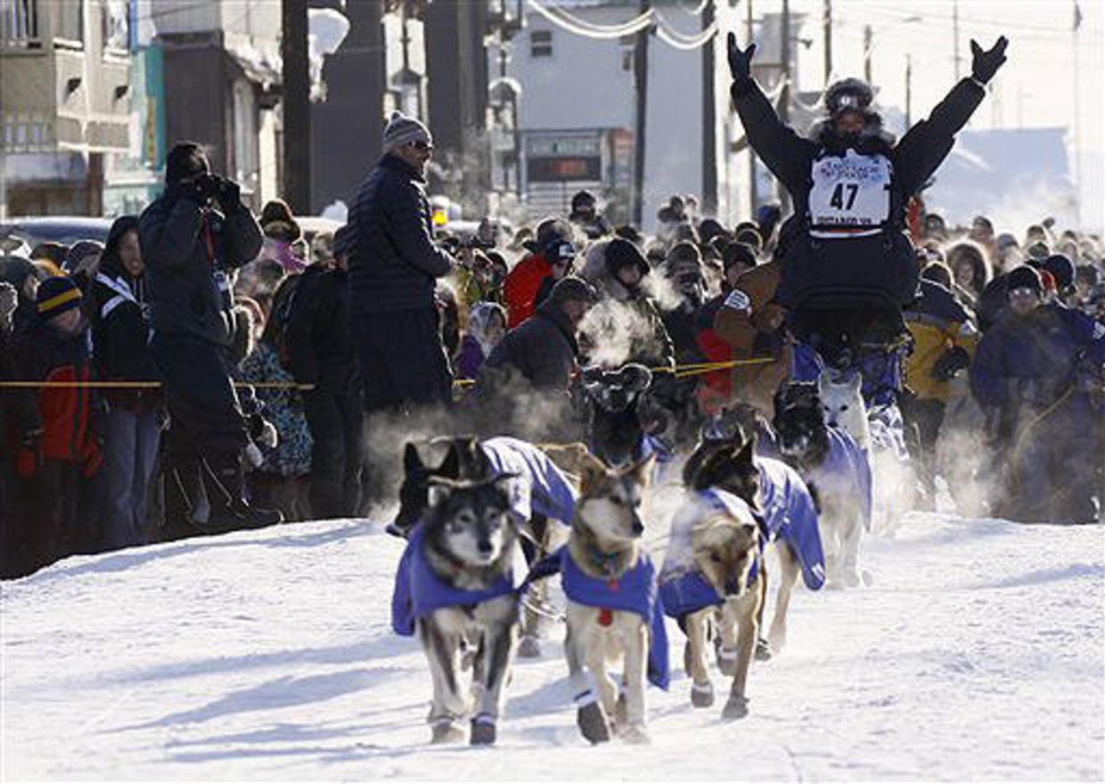 Iditarod Dog Sled Race CBS News