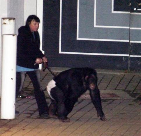 oprah winfrey woman attacked by chimpanzee