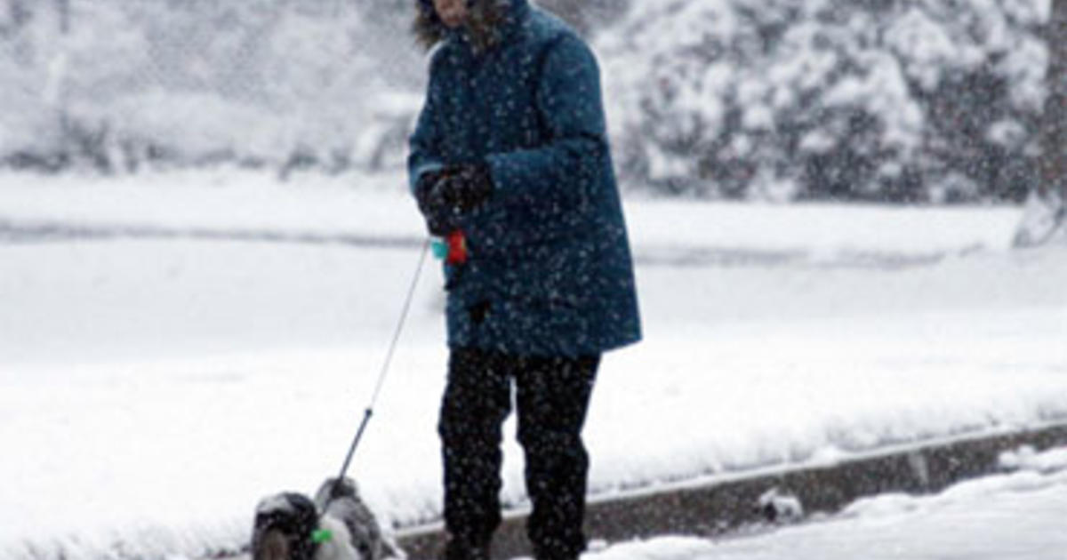 United States of Snow - CBS News