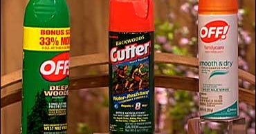 How to Keep Bugs Off This Summer CBS News
