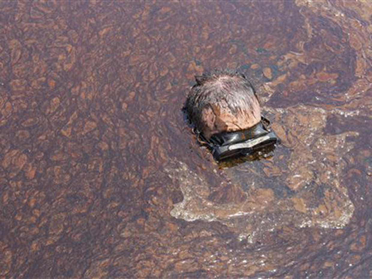 deepwater horizon oil spill