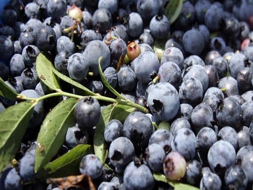 Pesticides in produce Environmental Working Group's "Dirty Dozen