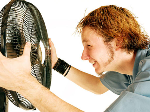heatwave-fan.jpg 