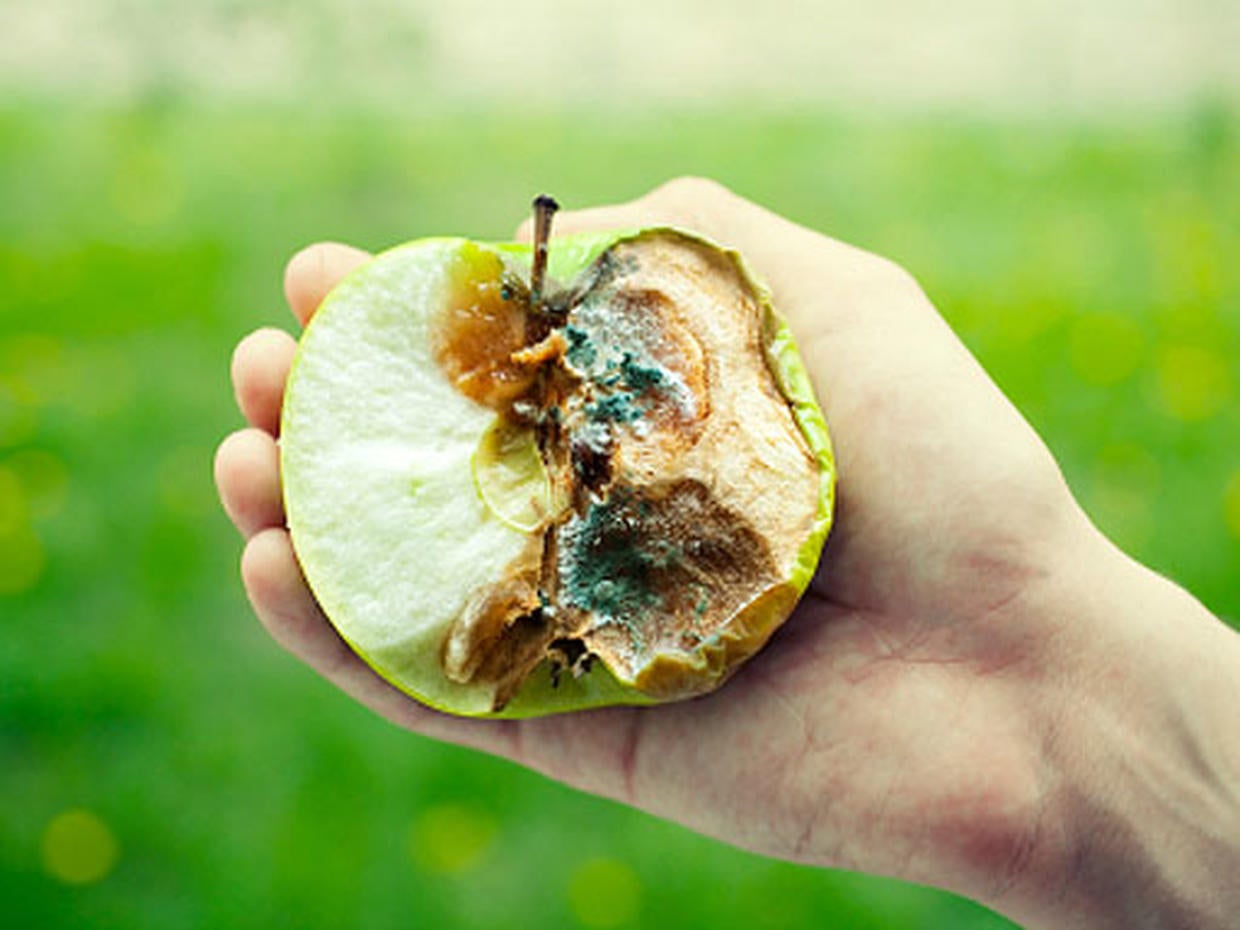 Parasites 11 Revolting Things Government Lets in Your Food CBS News