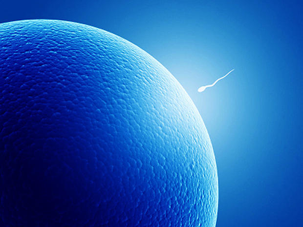 Left Ball - One Testicle Is Enough - Sperm: 15 crazy things you should ...
