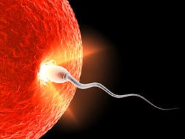 sperm, sperm killers, egg, generic, 4x3