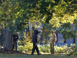 Study Finds Criminals Avoid Homes Near Big Trees