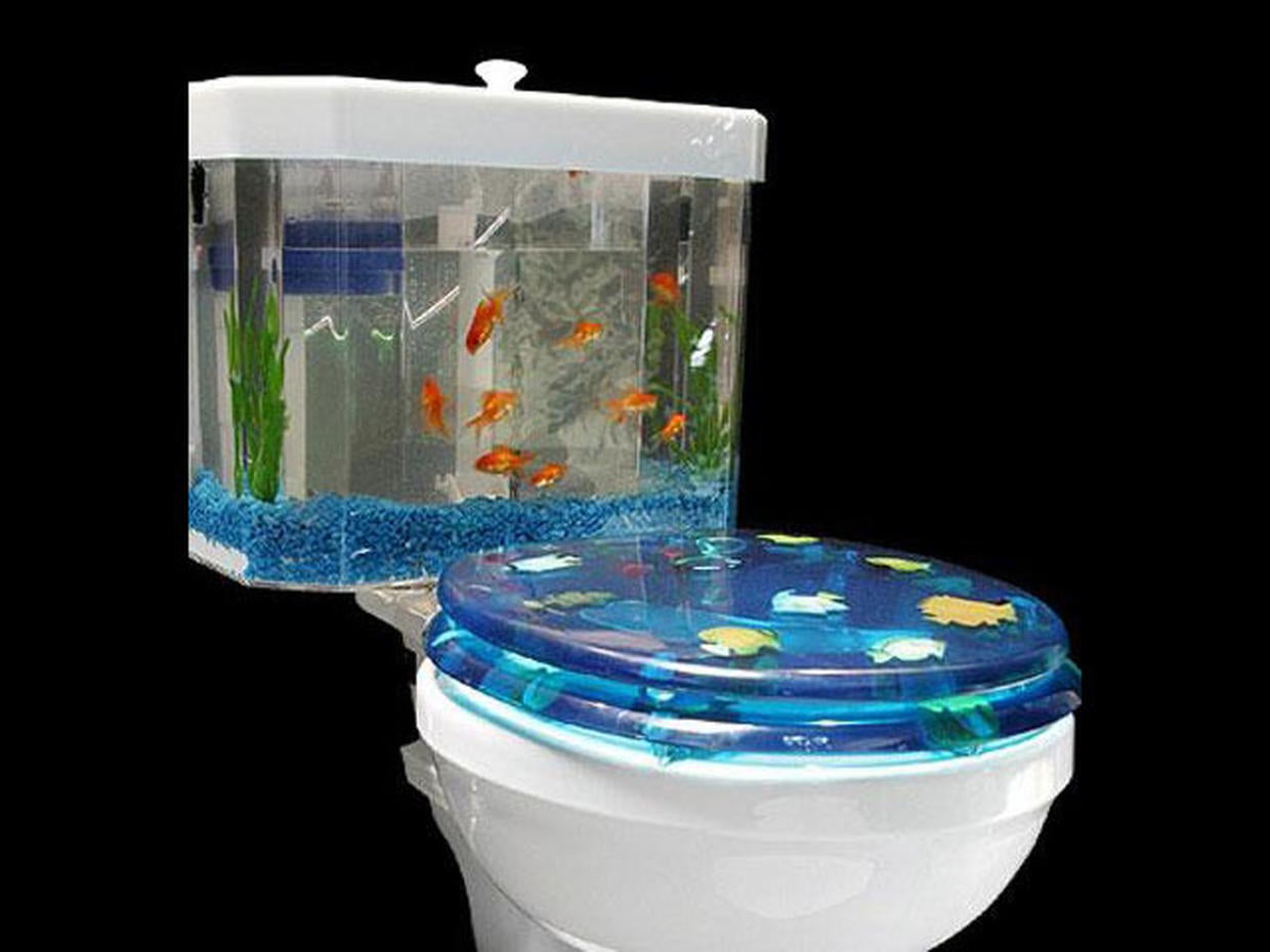 World's craziest toilet bowls Photo 5 CBS News