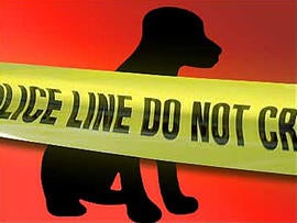 Man Makes Puppy Drink Vodka, Goes to Jail