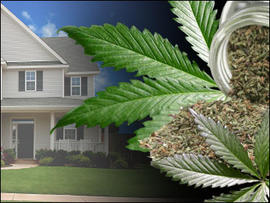 65 Pounds of Pot, Gift Wrapped With Bows, Seized