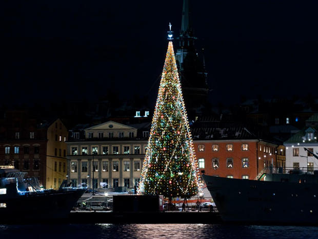 Christmas Trees Around the World - Photo 22 - Pictures - CBS News