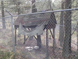 Unabomber's Montana Property for Sale, Listing Offers "Piece of Infamous U.S. History"