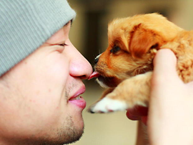 dog_lick_iStock_000007853801XSmall.jpg 