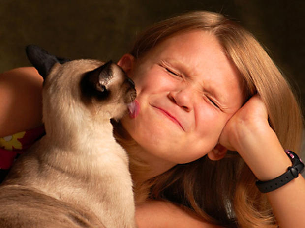 cat_lick_iStock_000013724415XSmall.jpg 