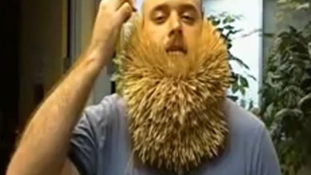 WOW: Man Puts 2,747 Toothpicks In His Beard - CBS News