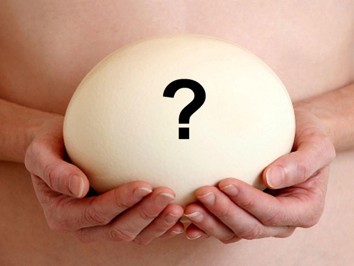 Eggs are huge Human eggs 9 fascinating facts CBS News