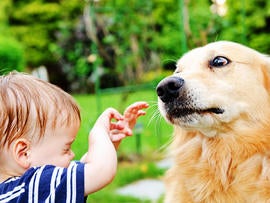 child, boy, scared, fear, arms raised, dog, pet, puppy, outdoors, stock, 4x3