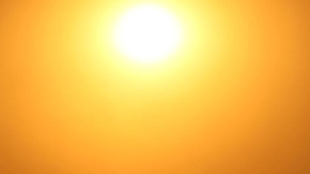 sun.jpg 