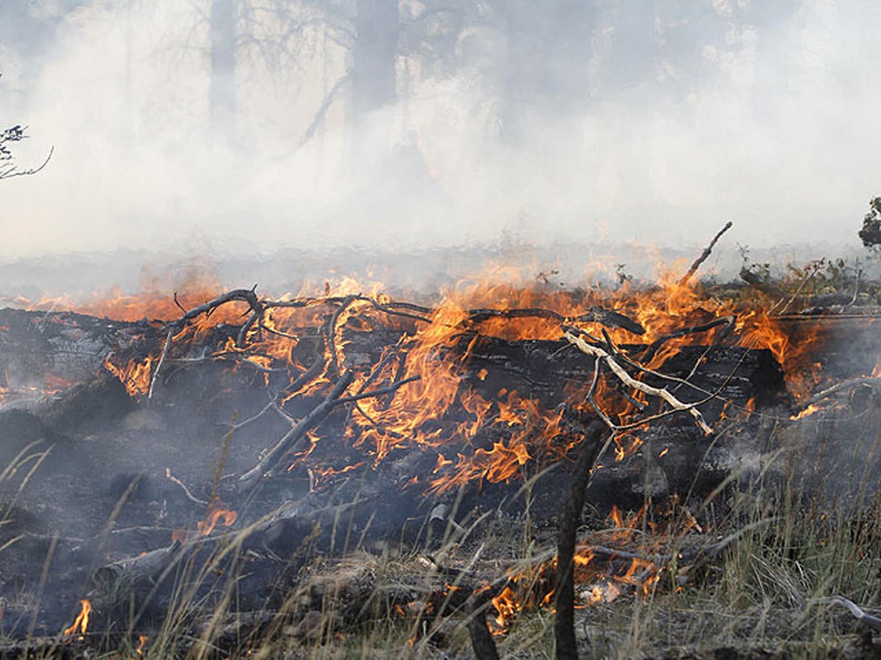 Los Alamos fire The Los Alamos fire Pictures CBS News