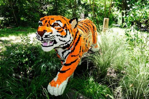 Bronx Zoo exhibit