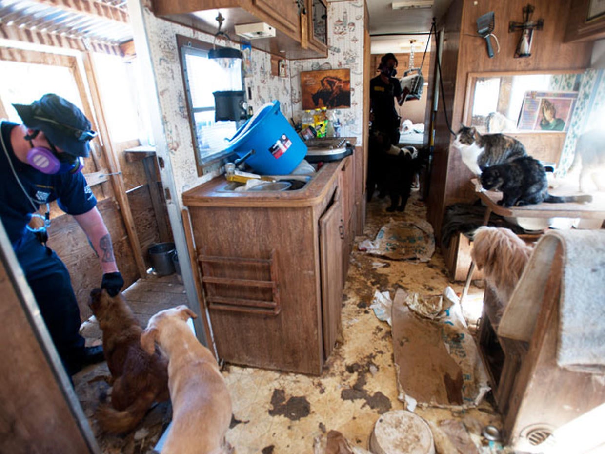 Pet hoarding horrors 27 photos spotlight cruel disorder Photo 16 CBS News