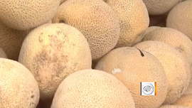 Lysteria outbreak from cantaloupes