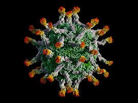 polio