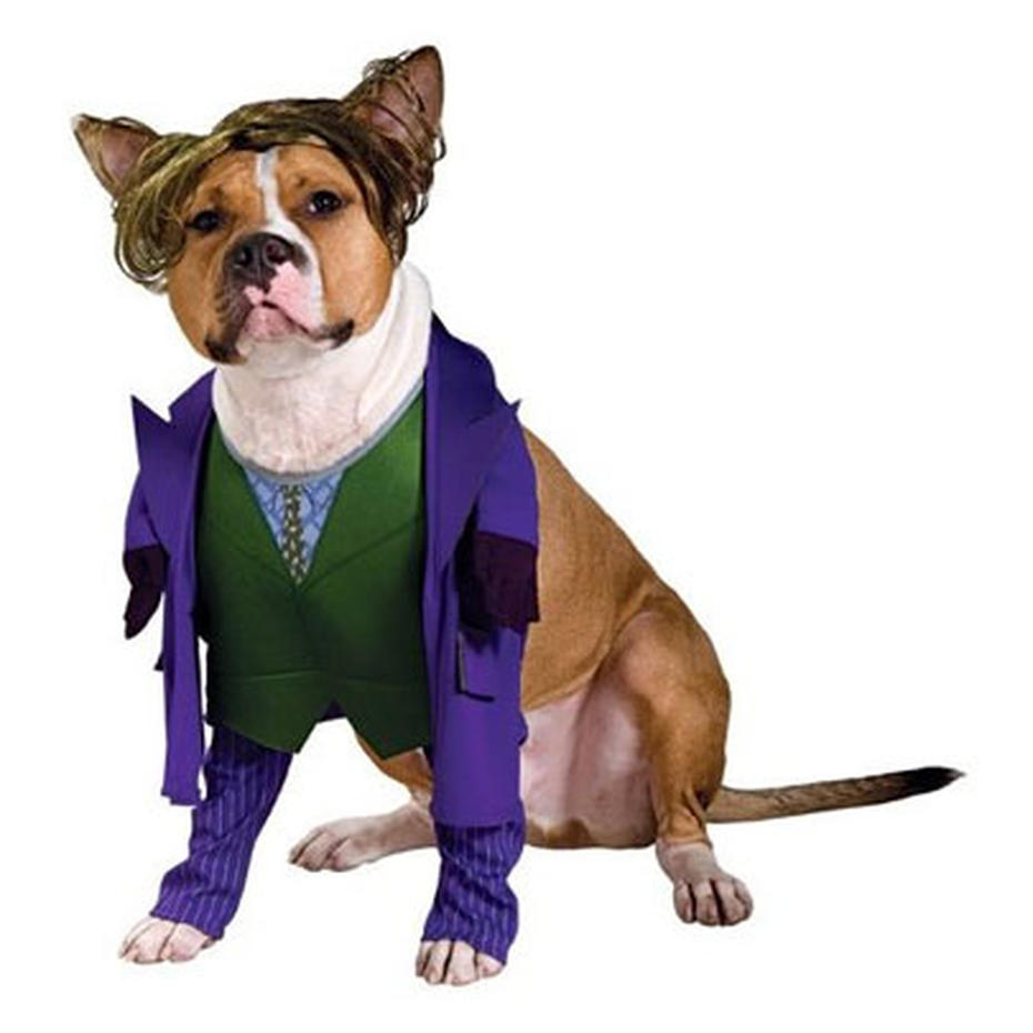 Teenage Mutant Ninja Turtles - Dogs in geeky costumes - CBS News