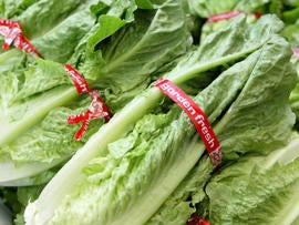 Heads of romaine lettuce fill a produce case at the Fruit Barn produce store in San Francisco.