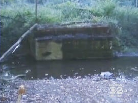 Thieves steal 50-foot bridge in W. Pa.