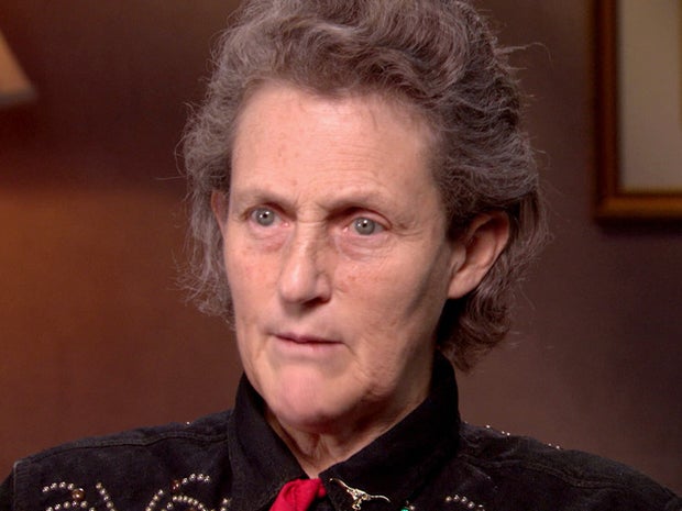 Temple Grandin Understanding Autism Cbs News - 
