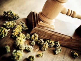 Gavel and marijuana
