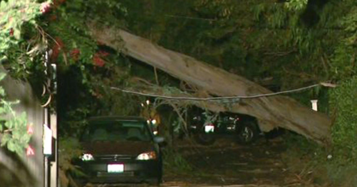 Reporting Power Outages And Downed Electrical Lines Cbs Los Angeles