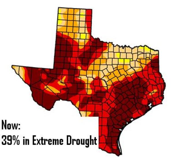 Drought Now 