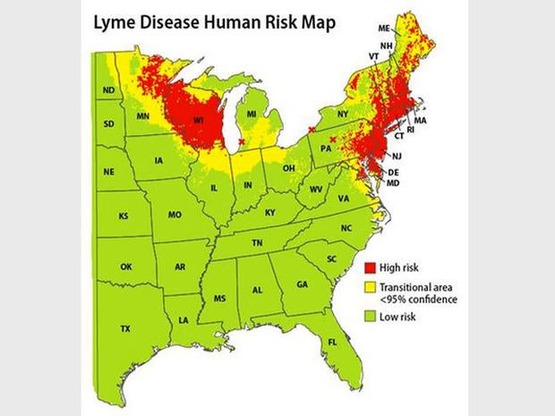 lyme disease map, yale school of public health