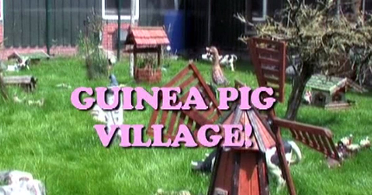 Vice visits a "guinea pig village" in the Netherlands CBS News