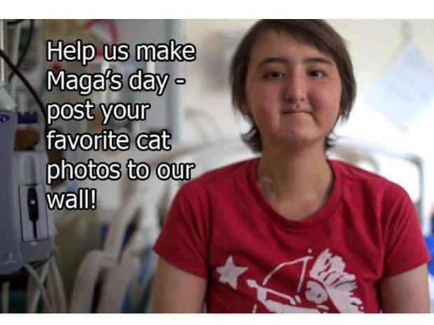 maga, cat immersion project, seattle children's hospital
