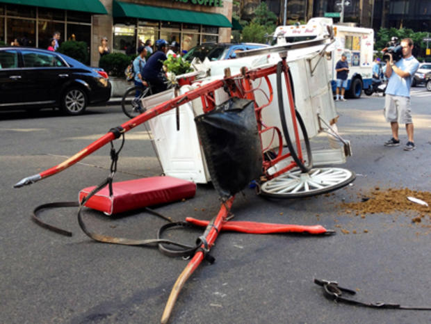 Carriage In Columbus Circle Accident 