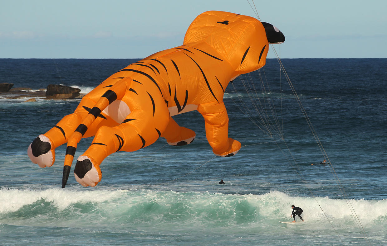 Australias Largest Kite Flying Festival