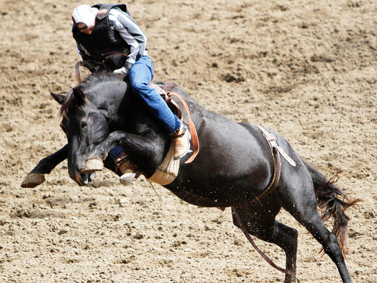 La. prison holds annual rodeo - Photo 12 - Pictures - CBS News