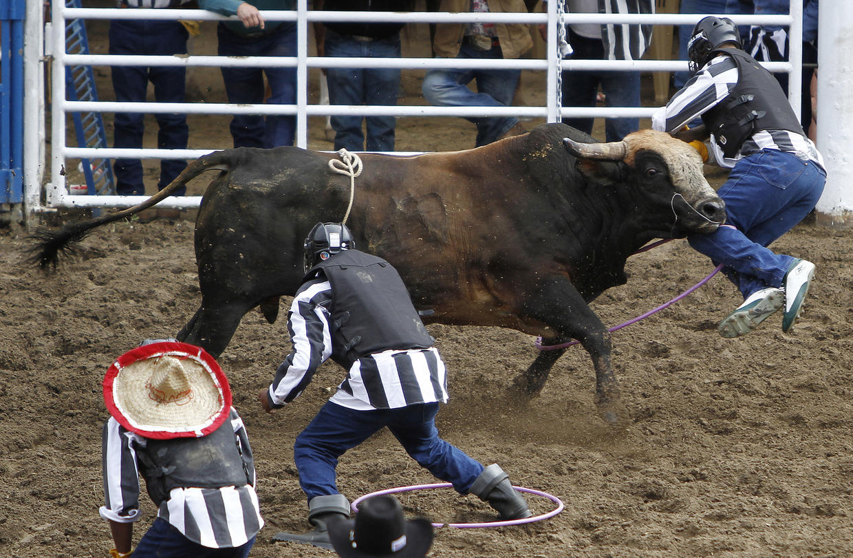 la-prison-holds-annual-rodeo-photo-4-cbs-news