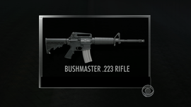 A .223 assault rifle