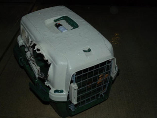 Middletown Burned Cat Carrier 