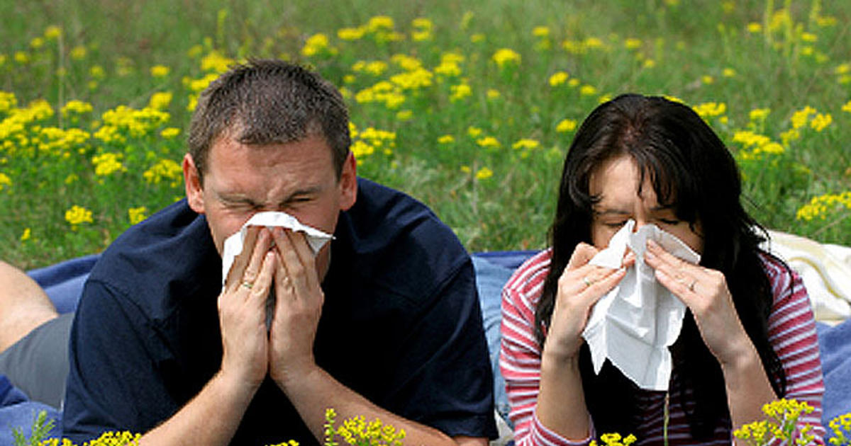 Top allergy cities of 2013 - CBS News