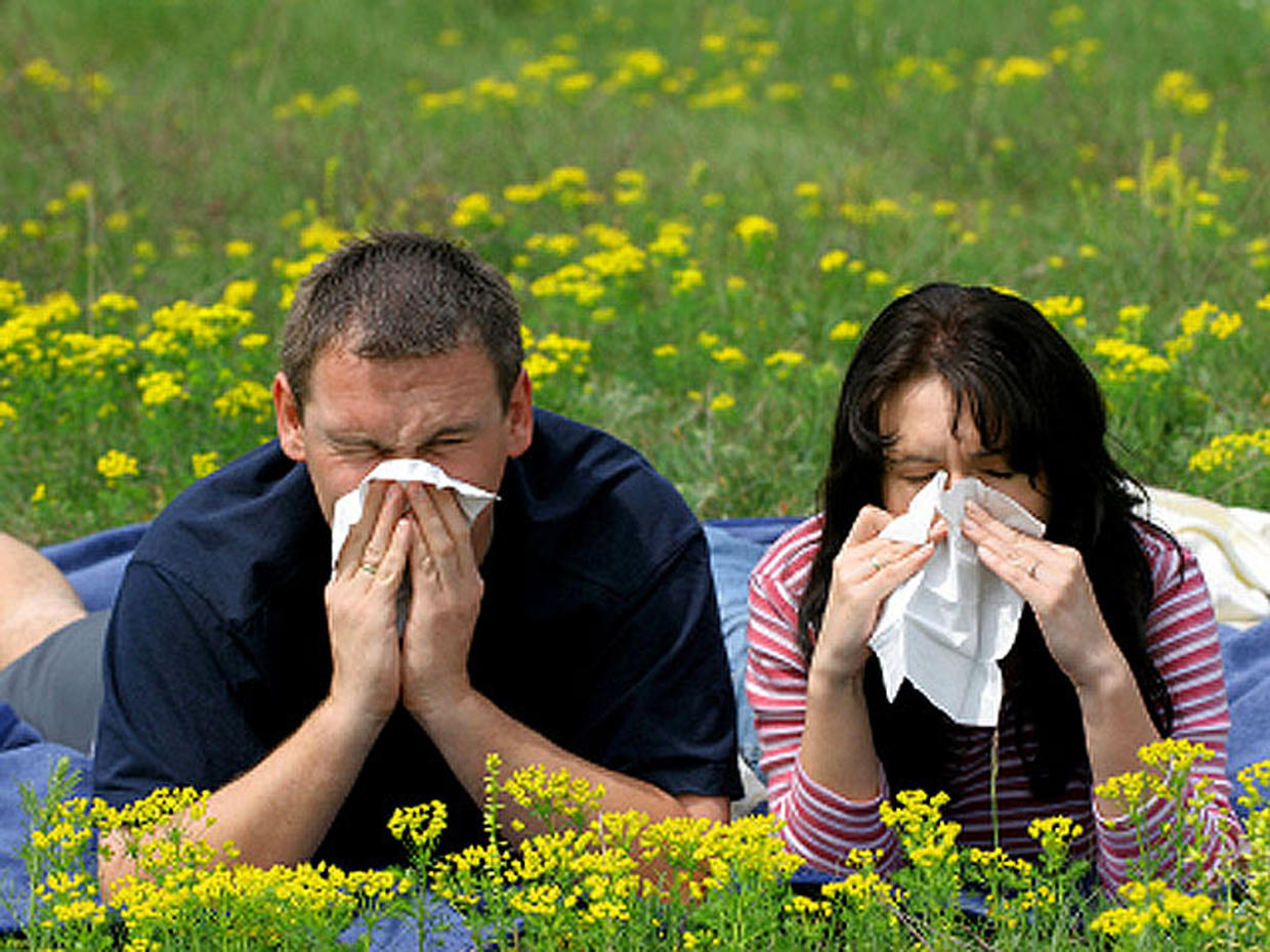 Top allergy cities of 2013 - CBS News