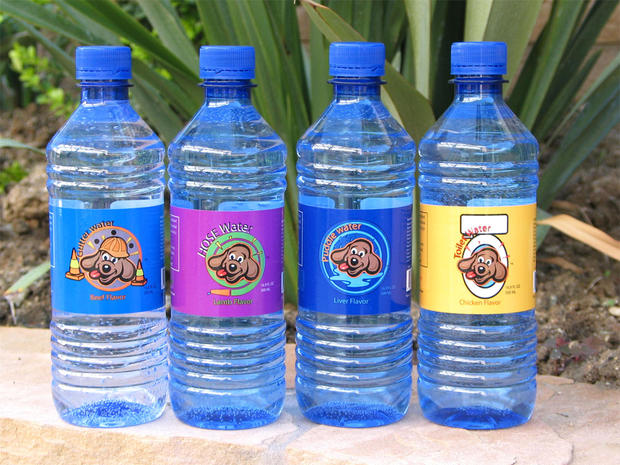 Bottled Water for Pets - Epic 